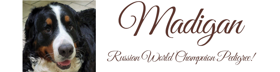 Madigan